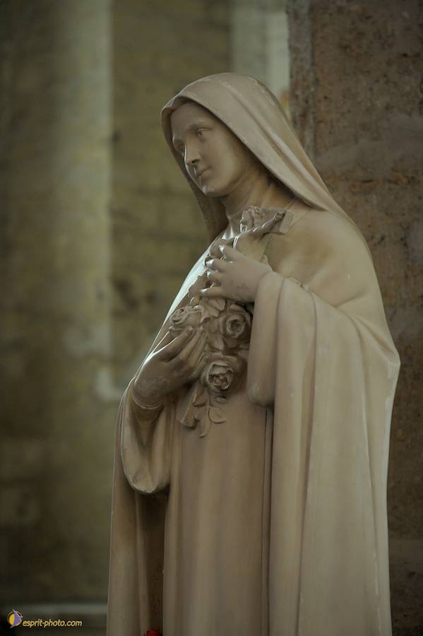 Nom de l'image : D30099780_1_(c)Norbert-JUNG — Description :